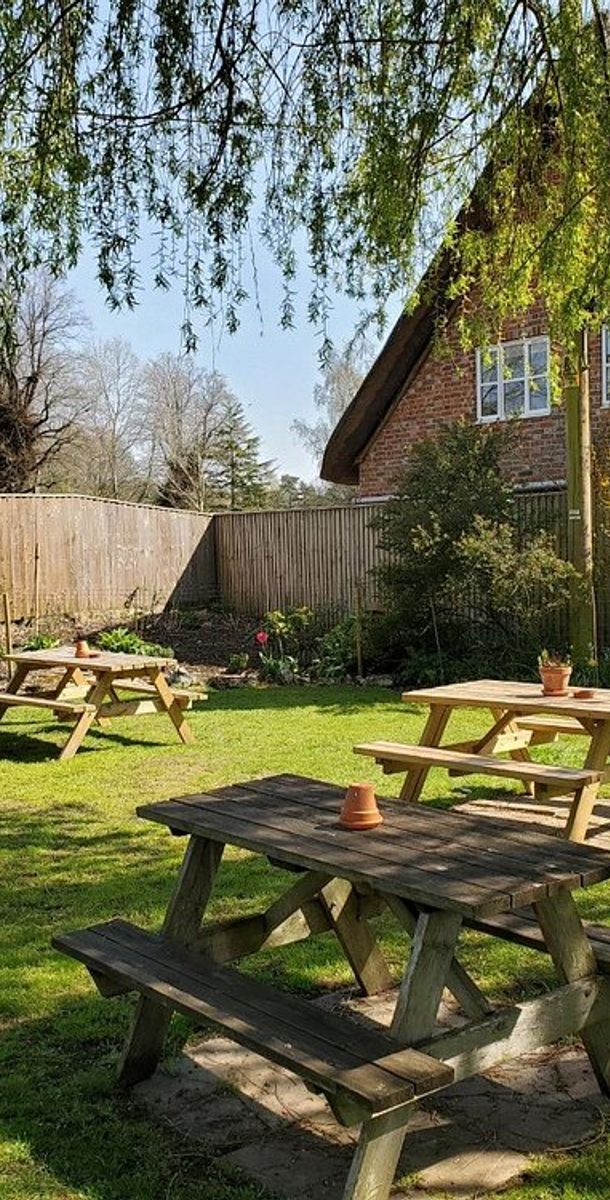 the cricketer's inn beer garden, on a lovely sunny day