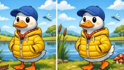 8-Second Visual Challenge: Can You Spot the 3 Differences in the Duck Wearing Jacket Image?