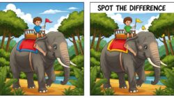 Spot the Difference Puzzle: Identify 3 Changes in the Boy Riding an Elephant Images